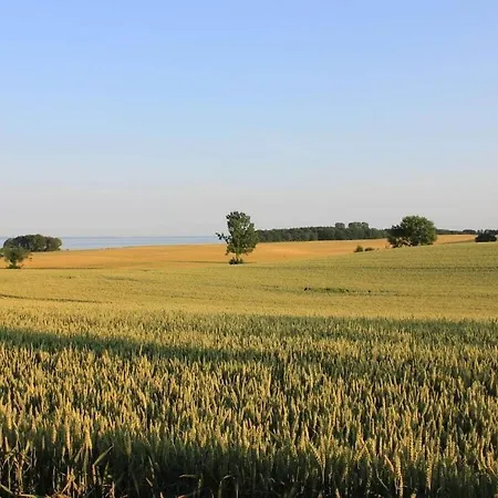 Dom wakacyjny With Style Sun Terrace *